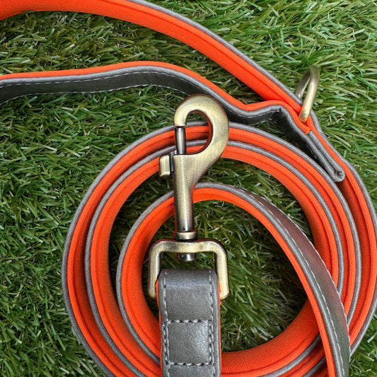 Leather Dog Leash - Pro