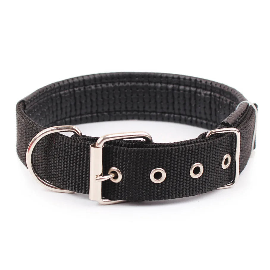 Nylon Dog Collar – Single Buckle