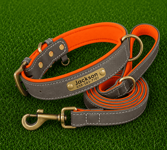 Leather Collar (Personalized) & Leash Set - Imperial Pawz