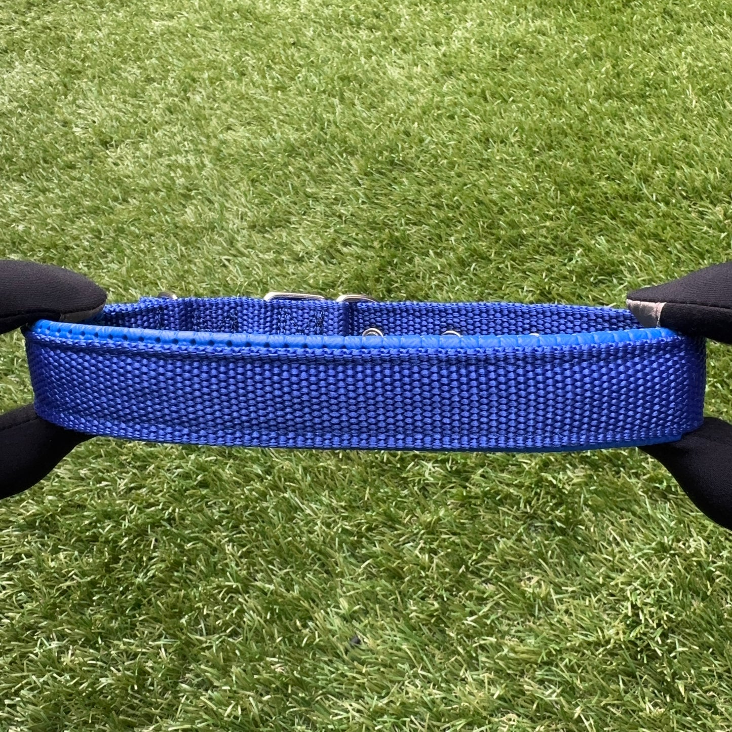 Nylon Dog Collar – Single Buckle