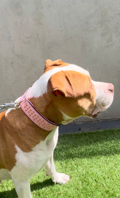 Leather Dog Collar - Studded (Pink)
