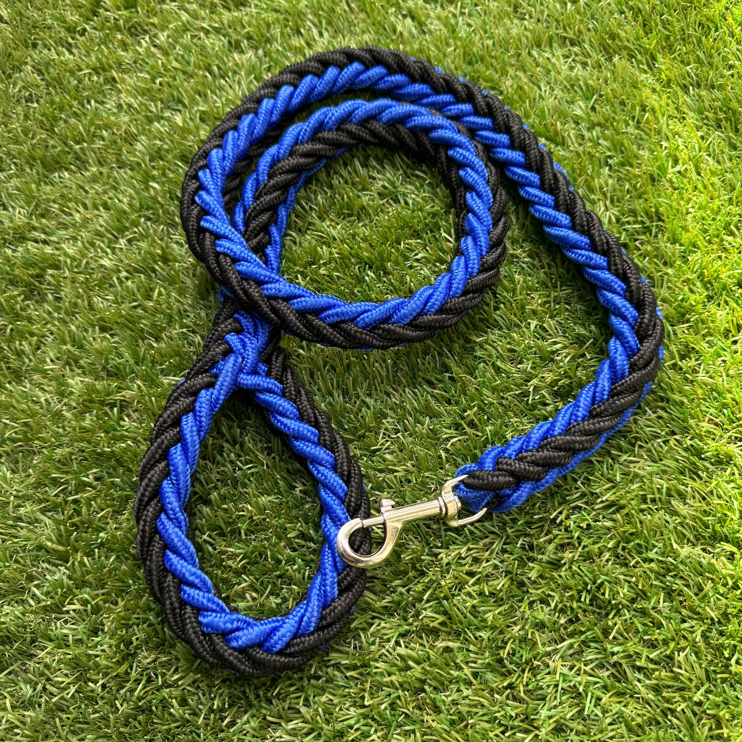 Dog Leash - Thick Rope