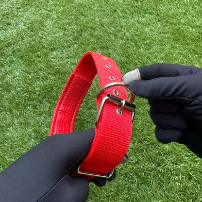 Nylon Dog Collar – Single Buckle