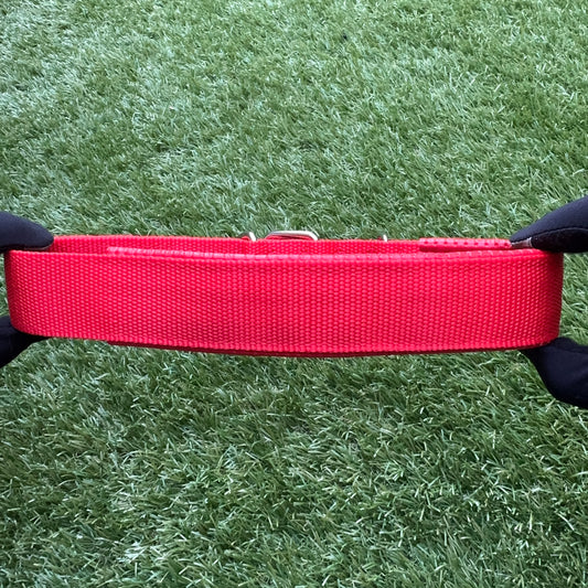 Nylon Dog Collar – Single Buckle