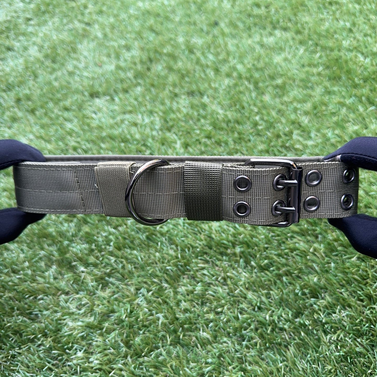 Nylon Dog Collar – Double Buckle