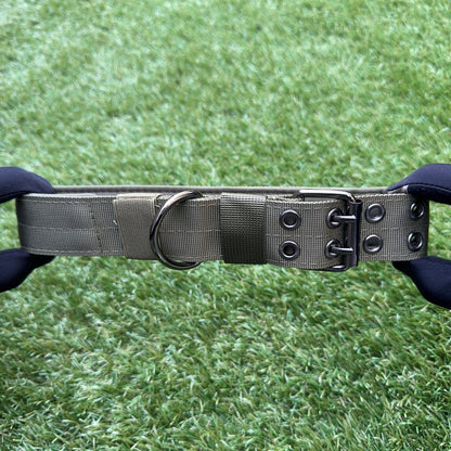 Nylon Dog Collar – Double Buckle