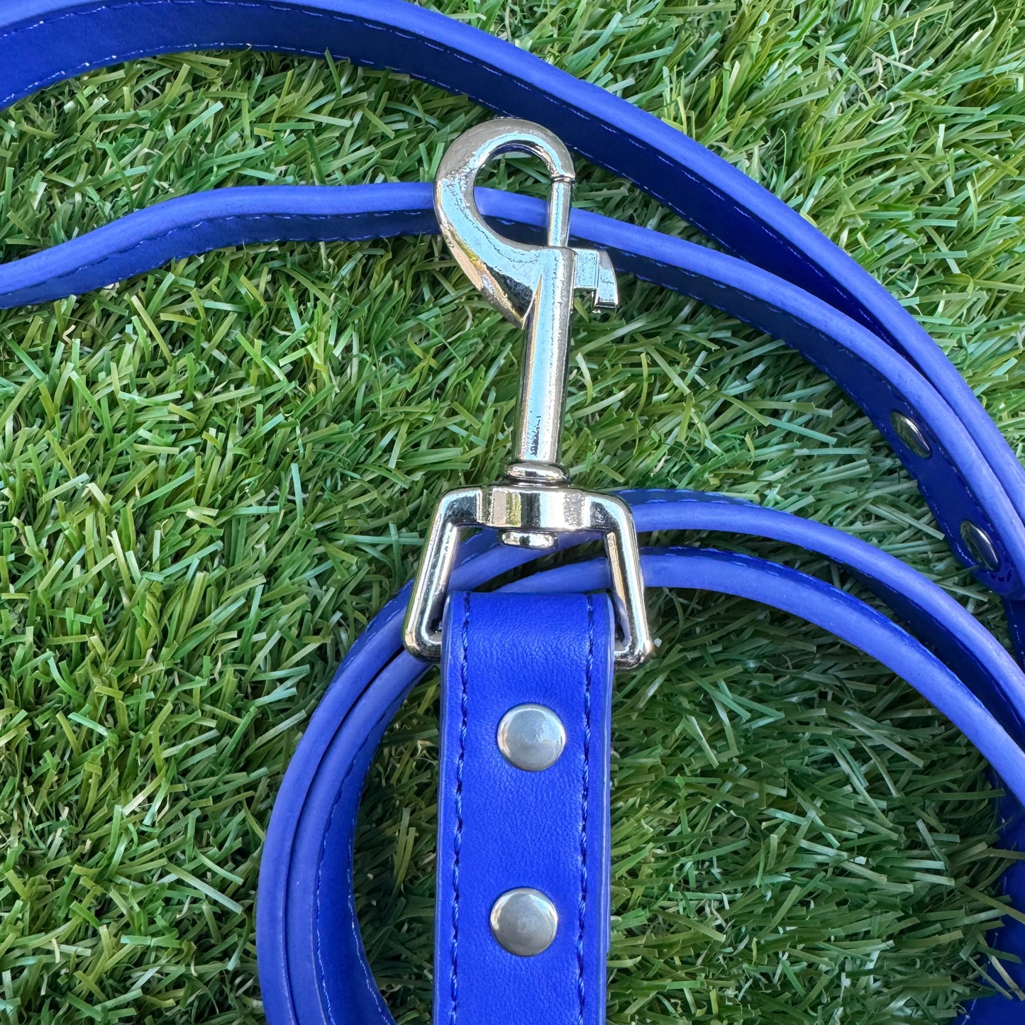 Leather Dog Leash - Classic