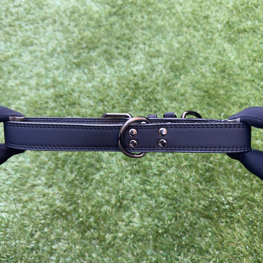 Leather Dog Collar - Classic