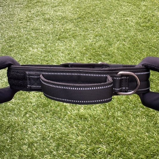 Nylon Dog Collar – Double Buckle Pro