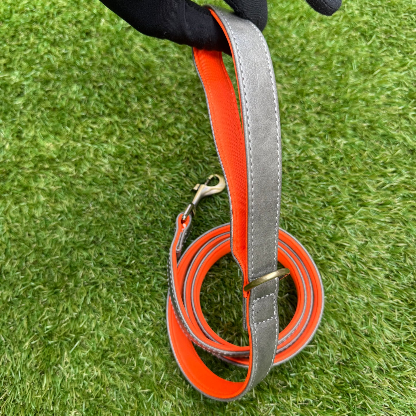 Leather Dog Leash - Pro