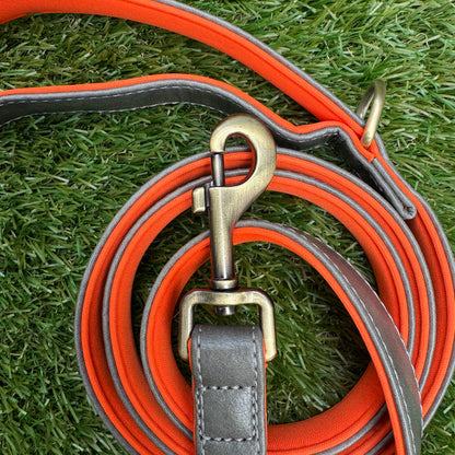 Leather Dog Leash - Pro