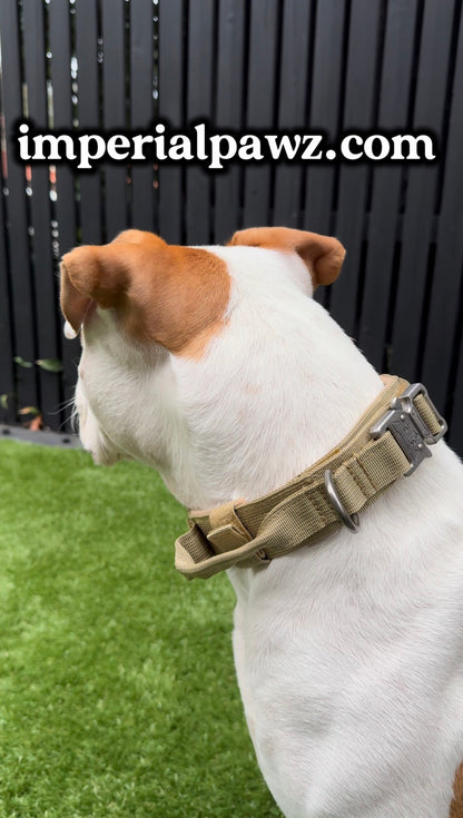 Dog Collar – Quick Release