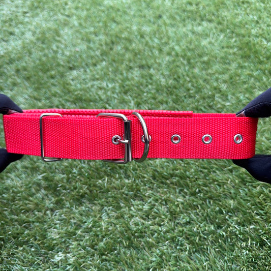Nylon Dog Collar – Single Buckle