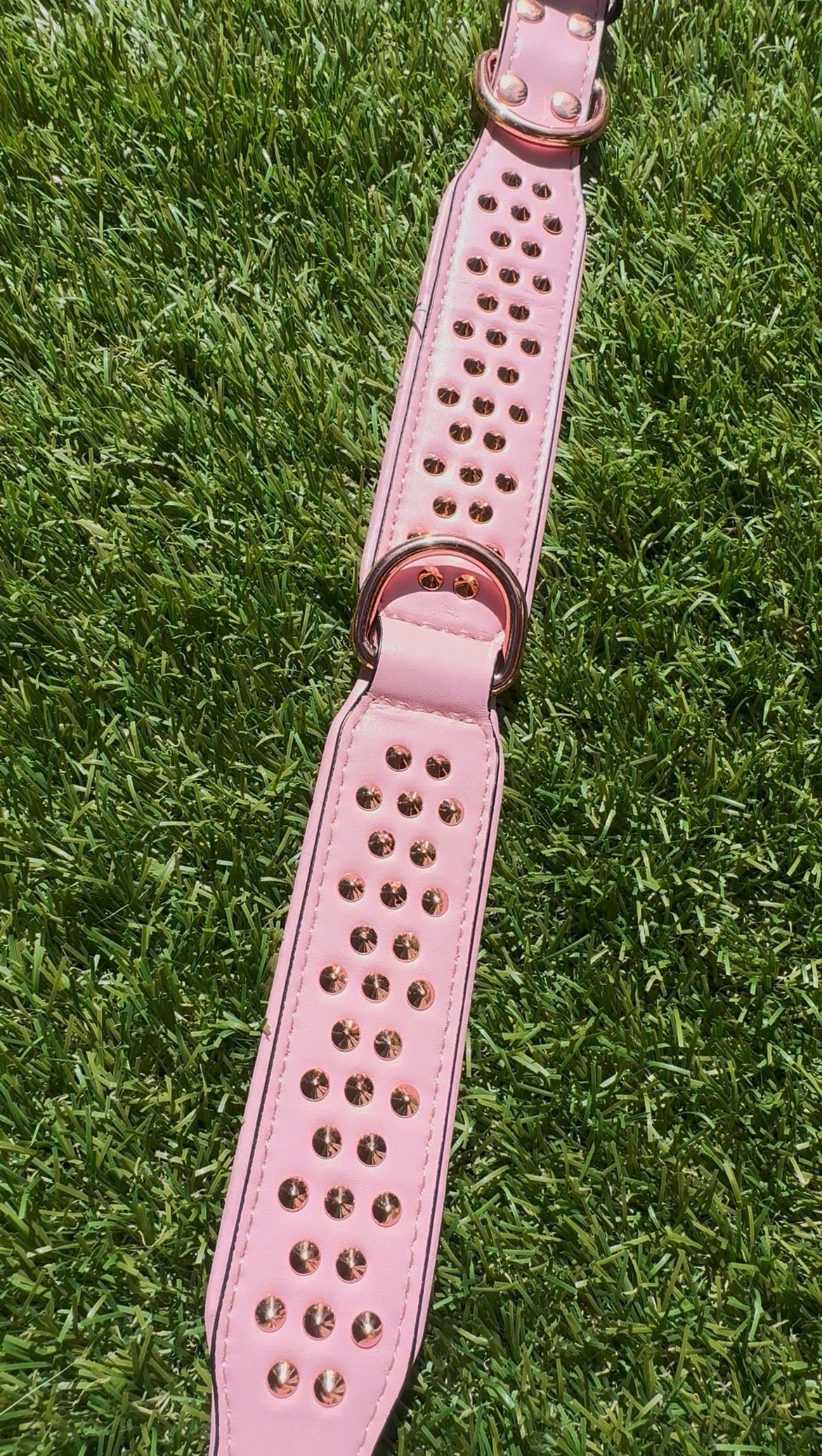 Leather Dog Collar - Studded (Pink)