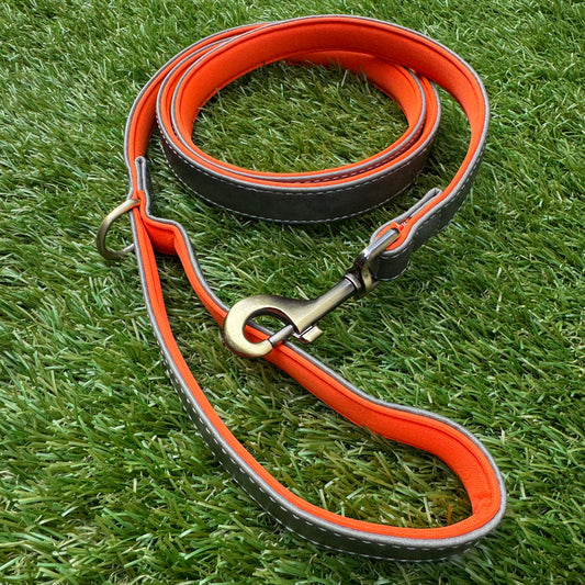 Leather Dog Leash - Pro