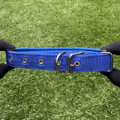Nylon Dog Collar – Single Buckle