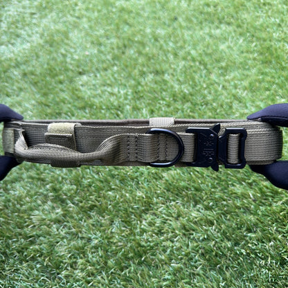 Dog Collar – Quick Release