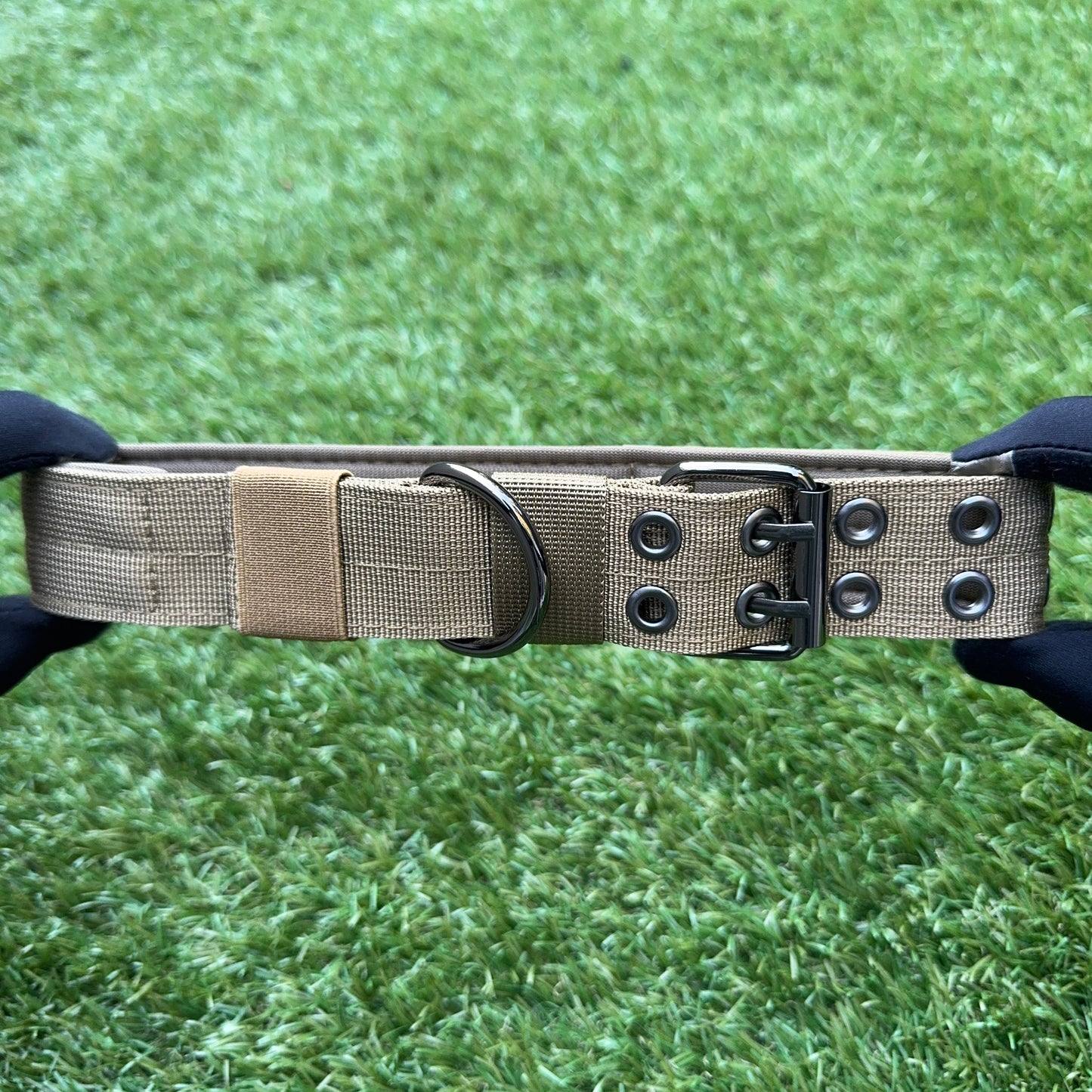 Nylon Dog Collar – Double Buckle