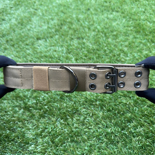 Nylon Dog Collar – Double Buckle