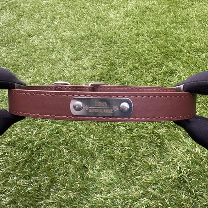 (Personalized) - Leather Dog Collar