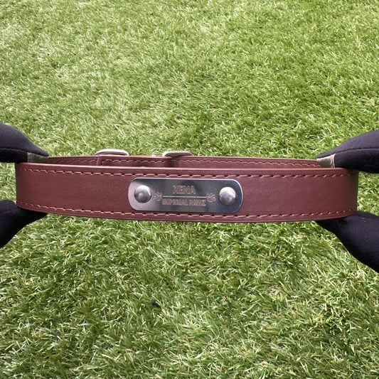 (Personalized) - Leather Dog Collar
