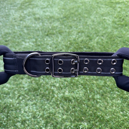 Nylon Dog Collar – Double Buckle Pro