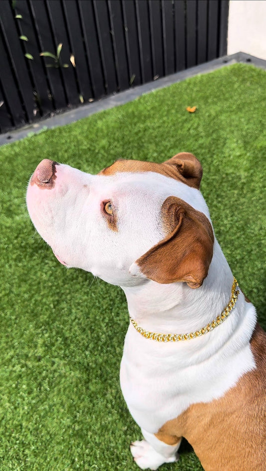 Cuban Chain