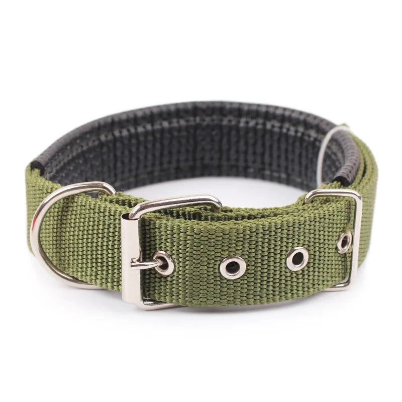 Nylon Dog Collar – Single Buckle