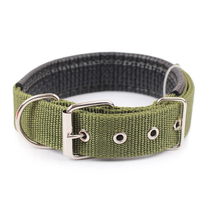 Nylon Dog Collar – Single Buckle