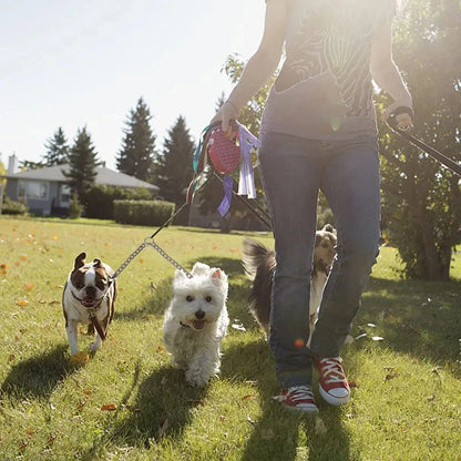 Dog Leash - Double