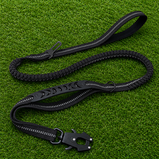 Leash - Shock Absorbing