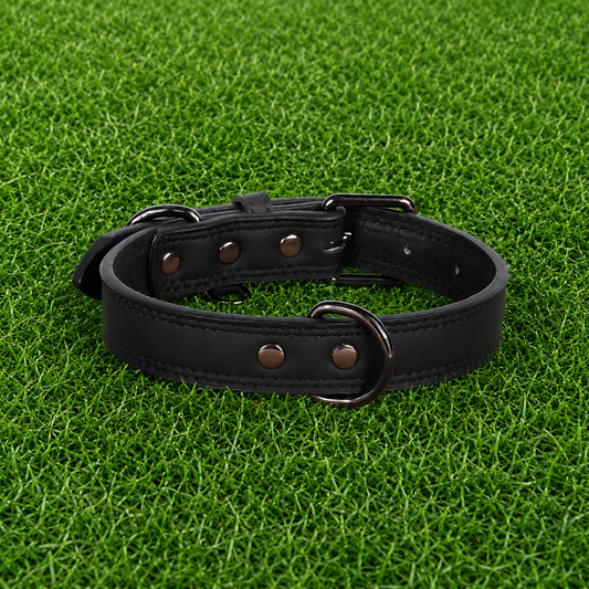 Leather Collar - Classic