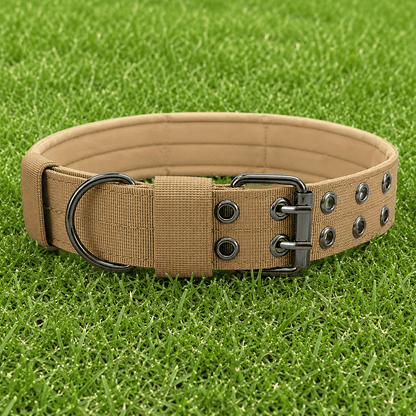 Collar – Double Buckle - Imperial Pawz