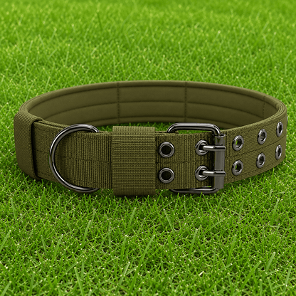 Collar – Double Buckle - Imperial Pawz