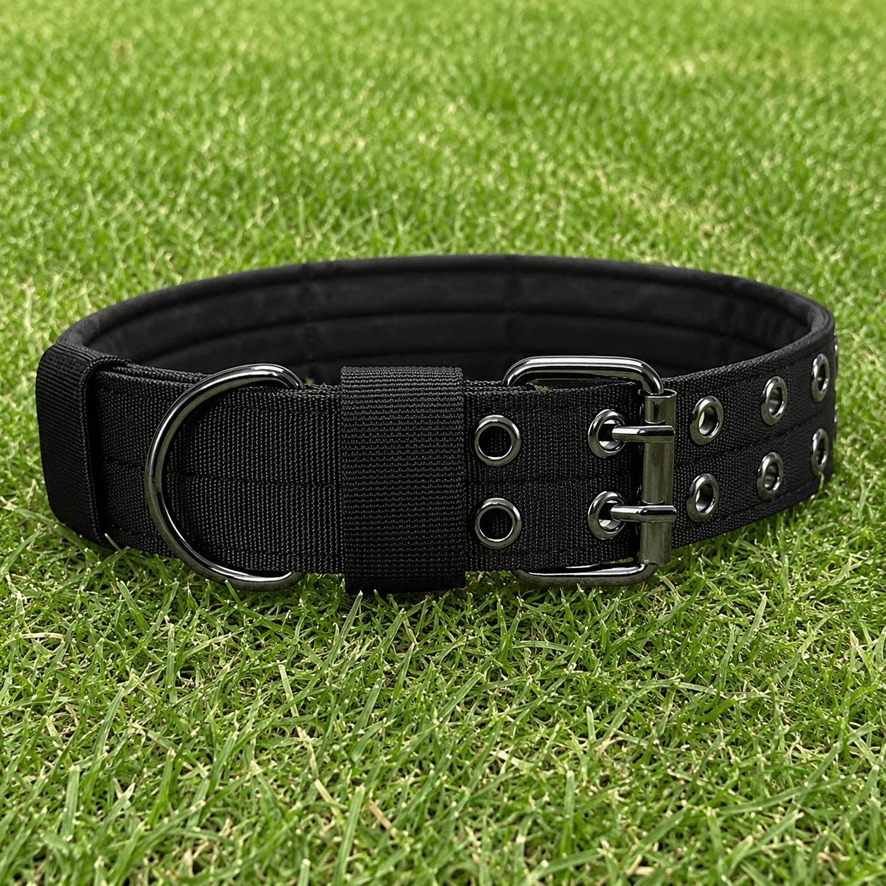 Collar – Double Buckle - Imperial Pawz