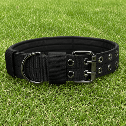 Collar – Double Buckle - Imperial Pawz