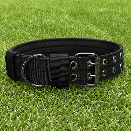 Collar – Double Buckle - Imperial Pawz