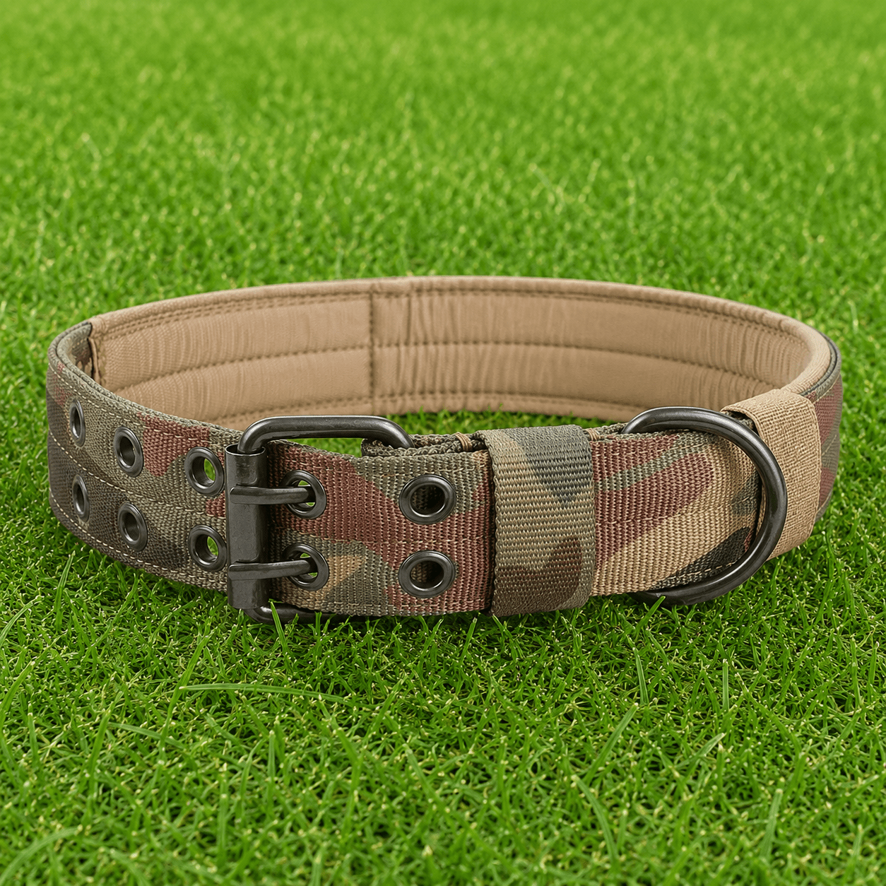 Collar – Double Buckle - Imperial Pawz
