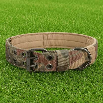 Collar – Double Buckle - Imperial Pawz