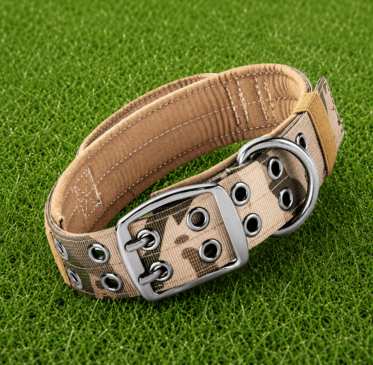 Collar – Double Buckle Pro - Imperial Pawz