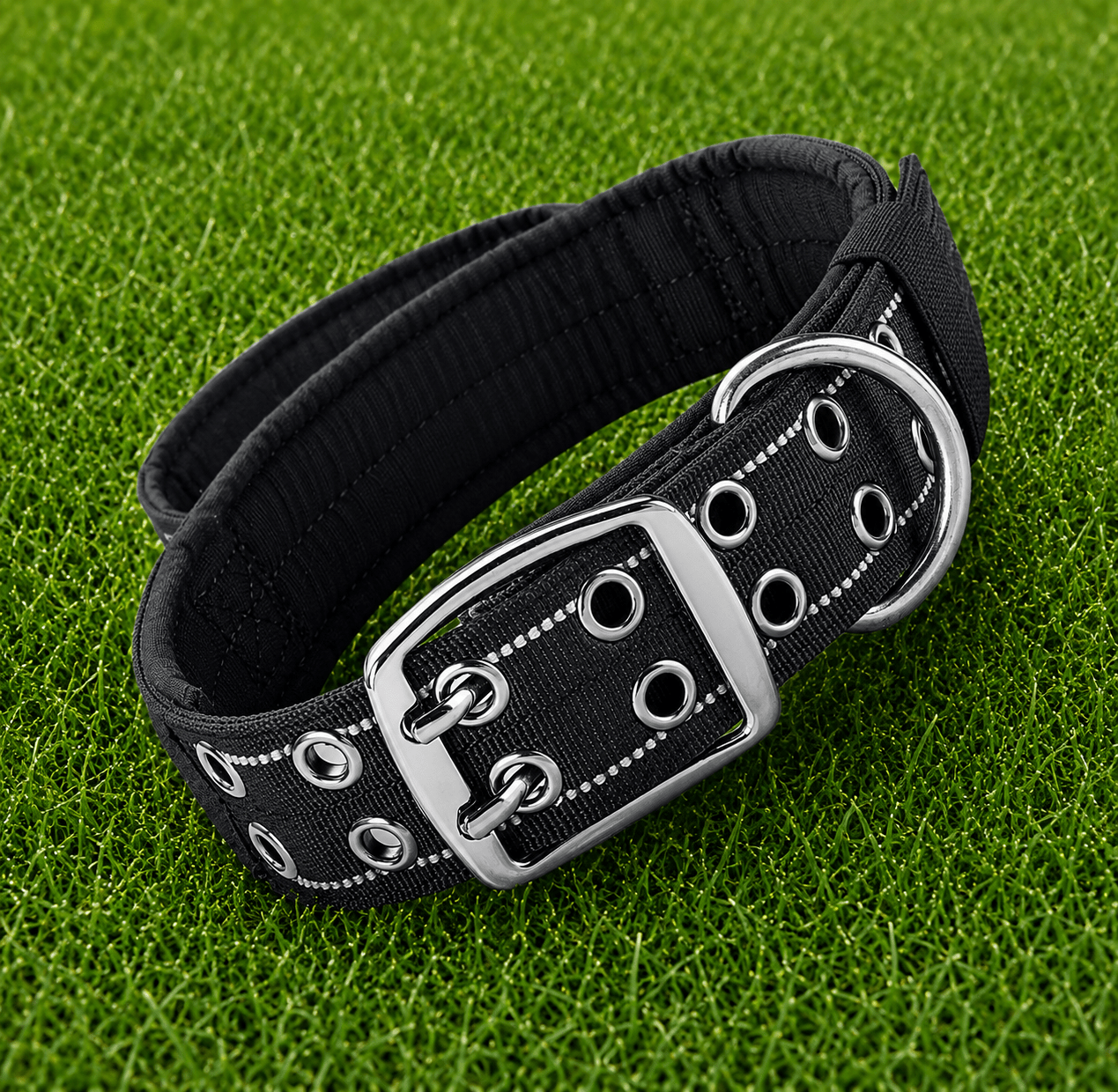 Collar – Double Buckle Pro - Imperial Pawz