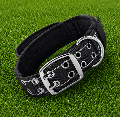 Collar – Double Buckle Pro - Imperial Pawz