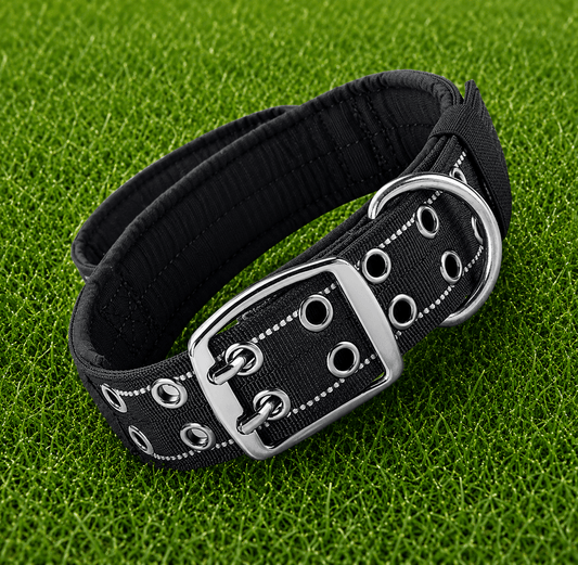 Collar – Double Buckle Pro - Imperial Pawz