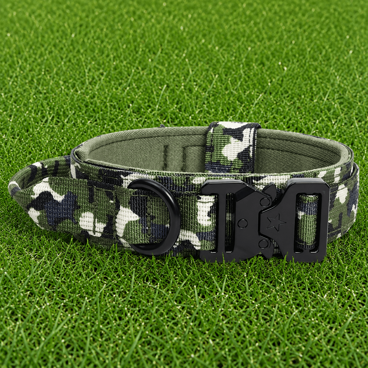 Collar – Quick Release - Imperial Pawz