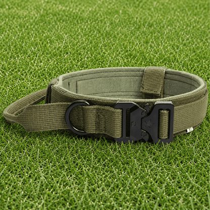 Collar – Quick Release - Imperial Pawz