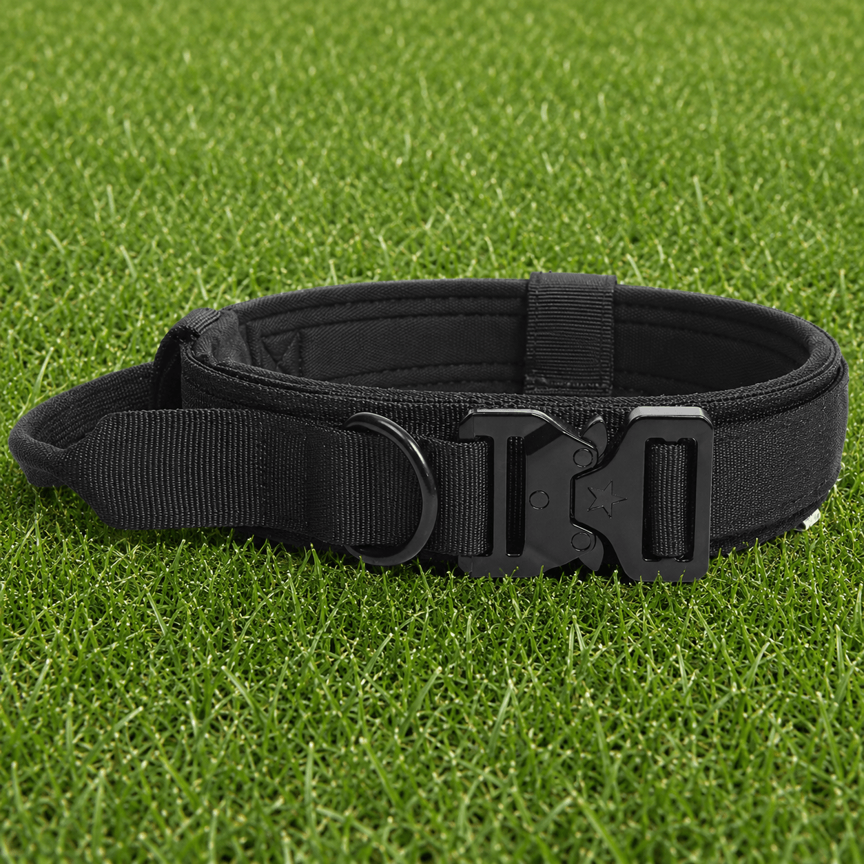 Collar – Quick Release - Imperial Pawz