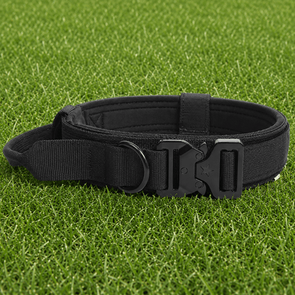 Collar – Quick Release - Imperial Pawz
