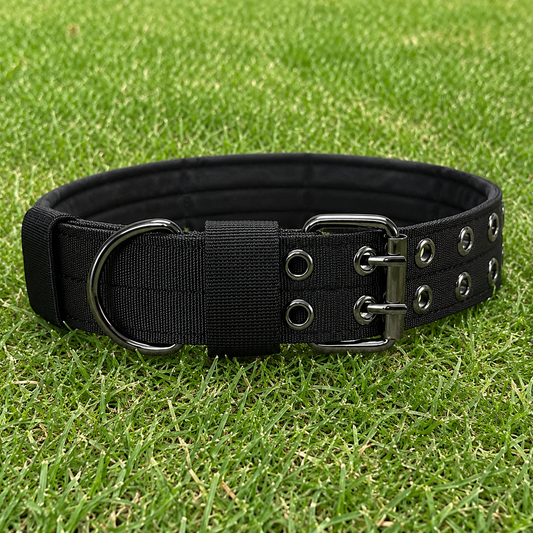 Collar – Double Buckle