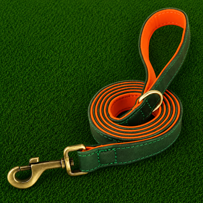 Leather Dog Leash - Pro