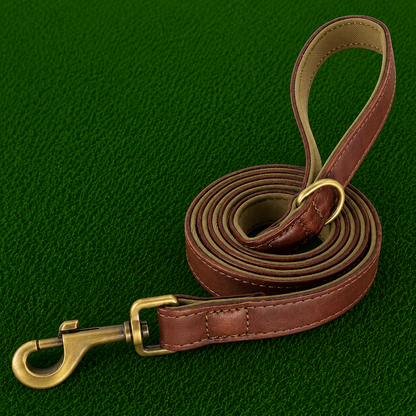 Leather Dog Leash - Pro